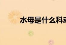 水母是什么科动物（水母是什么）