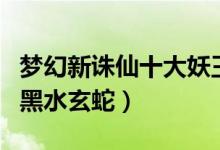梦幻新诛仙十大妖王黑水玄蛇攻略（梦幻诛仙黑水玄蛇）