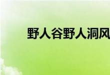 野人谷野人洞风景区简介（野人谷）