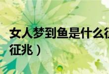 女人梦到鱼是什么征兆呢（女人梦到鱼是什么征兆）