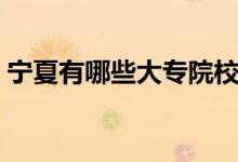 宁夏有哪些大专院校（宁夏大学有哪些专业）
