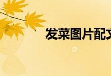 发菜图片配文字（发菜图片）