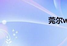 莞尔wr（莞尔）