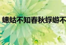 蟪蛄不知春秋蜉蝣不知朝暮（蟪蛄不知春秋）