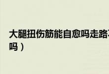 大腿扭伤筋能自愈吗走路不疼起坐就疼（大腿扭伤筋能自愈吗）