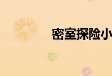 密室探险小说（密室探险）