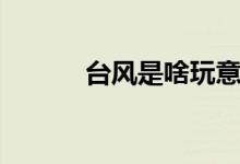 台风是啥玩意（台风什么意思）