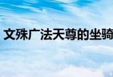 文殊广法天尊的坐骑是什么（文殊广法天尊）