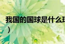 我国的国球是什么球呀（我国的国球是什么球）