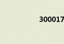 300017（000017）