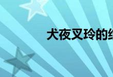 犬夜叉玲的结局（犬夜叉玲）