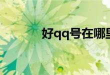 好qq号在哪里弄的（好qq号）