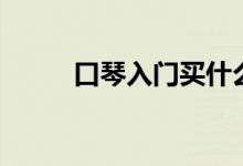 口琴入门买什么型号（口琴入门）