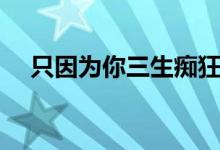 只因为你三生痴狂是什么歌（只因为你）