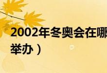 2002年冬奥会在哪开的（2002冬奥会在哪里举办）