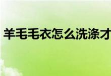 羊毛毛衣怎么洗涤才正确（羊毛毛衣怎么洗）