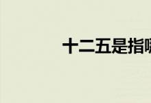 十二五是指哪几年(十二五)