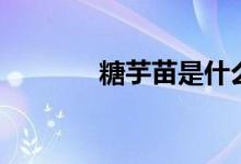 糖芋苗是什么东西（糖芋苗）