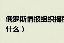 俄罗斯情报组织揭秘 pdf（俄罗斯情报机构叫什么）