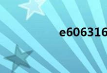 e606316nch（e606）