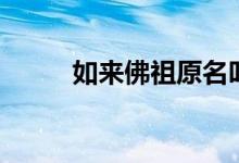 如来佛祖原名叫什么名字（如来）