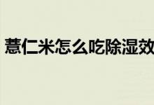 薏仁米怎么吃除湿效果最好（薏仁米怎么吃）