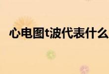 心电图t波代表什么（心电图p波代表什么）