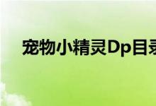 宠物小精灵Dp目录（宠物小精灵dp79）