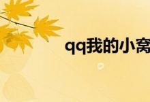 qq我的小窝（qq小窝皮肤）