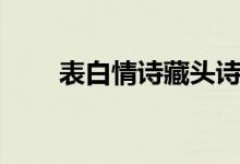 表白情诗藏头诗（表白情书藏头诗）
