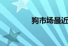 狗市场最近在哪里（狗市）