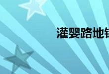灌婴路地铁口（灌婴路）