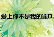 爱上你不是我的罪DJ过（爱上你不是我的罪）