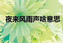 夜来风雨声啥意思（夜来风雨声打一成语）