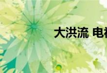 大洪流 电视剧（大洪流）