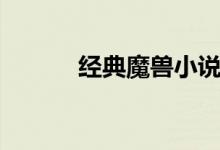 经典魔兽小说（魔兽历史小说）