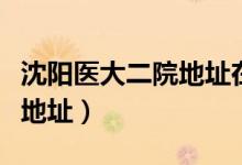 沈阳医大二院地址在什么位置（沈阳医大二院地址）