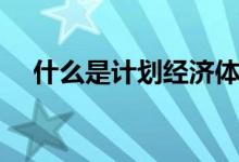 什么是计划经济体制（什么是计划经济）
