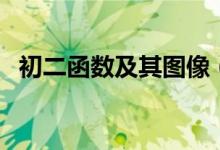 初二函数及其图像（初二函数的图象例题）