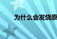 为什么会发烧原因（为什么会发烧）