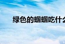 绿色的蝈蝈吃什么食物（绿色的蝈蝈）
