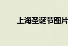 上海圣诞节图片大全（上海圣诞节）