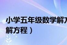 小学五年级数学解方程题目（小学五年级数学解方程）