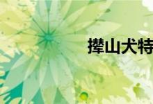 撵山犬特征（撵山犬）