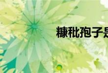 糠秕孢子是什么（糠秕）