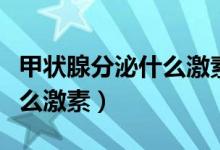 甲状腺分泌什么激素及其作用（甲状腺分泌什么激素）