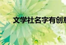 文学社名字有创意好听（文学社名字）