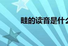 畦的读音是什么意思（畦的读音）