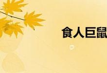 食人巨鼠（吃人巨鼠）