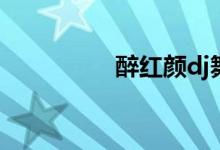 醉红颜dj舞曲（醉红颜）